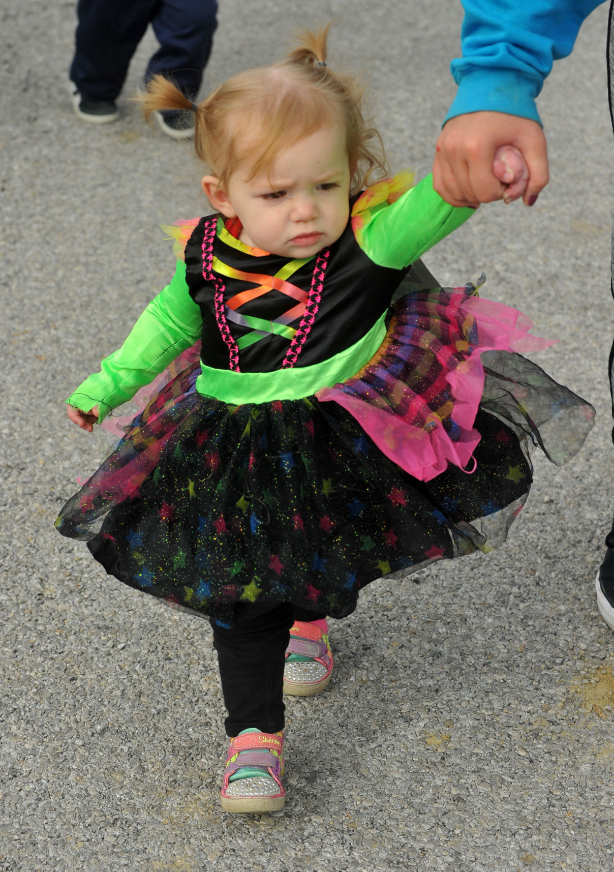 Blue Grass' Pumpkin Dash